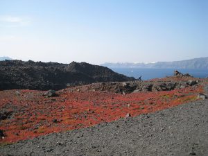 Nea Kameni in the Santorini caldera