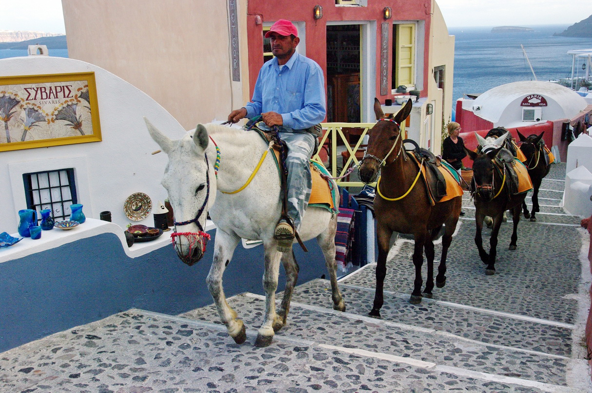 oia mules