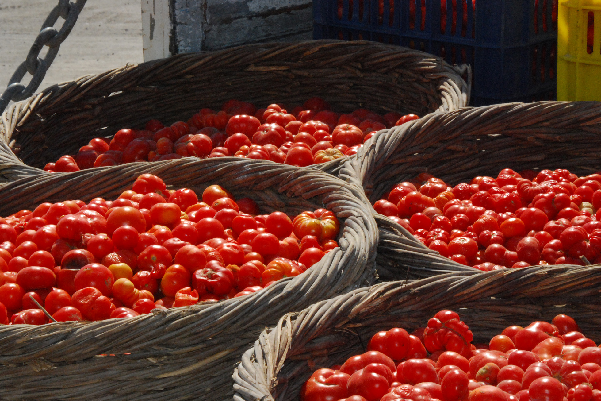 Santorini with Children: Tomato Industrial Museum