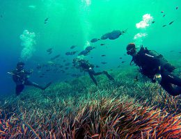 Atlantis Dive center & Boat training school